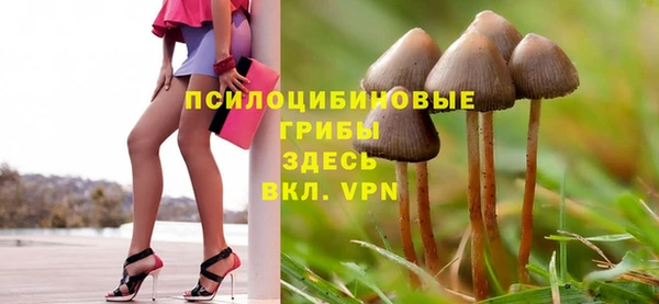 соль ск Яровое