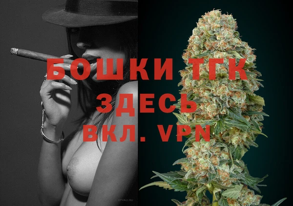 амф Щигры