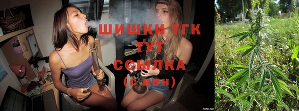 амф Щигры