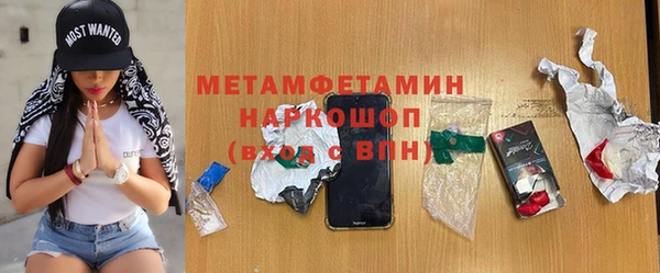 амф Щигры