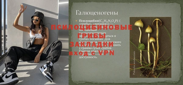амф Щигры