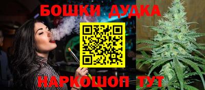 кокс Донской