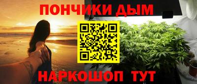 соль ск Дубна