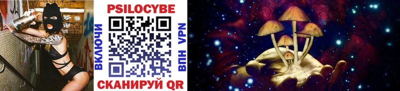 Псилоцибиновые грибы Cubensis Ульяновск